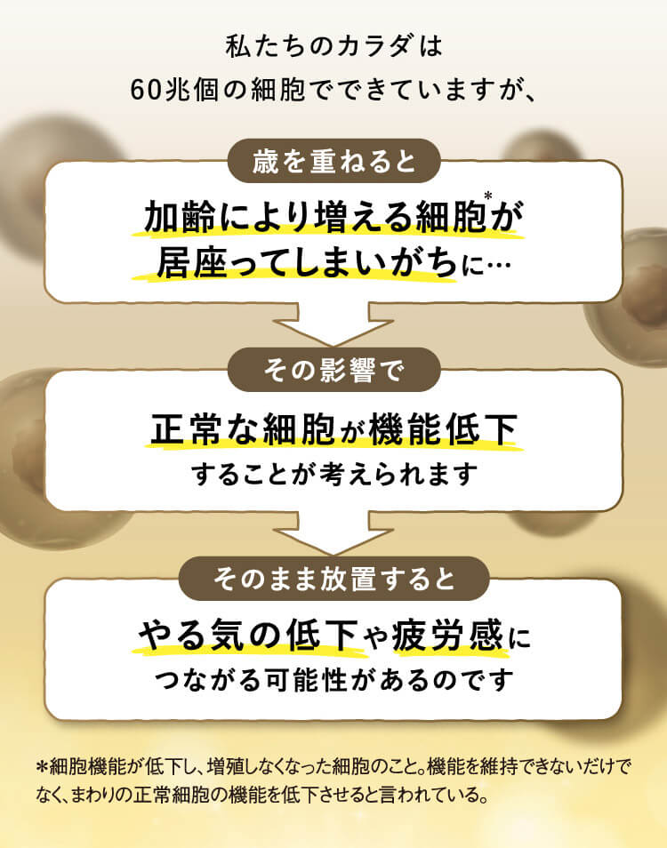 私たちのカラダは60兆個の細胞でできていますが、歳を重ねると加齢により増える細胞が居座ってしまいがちに… その影響で正常な細胞が機能低下することが考えられます そのまま放置するとやる気の低下や疲労感につながる可能性があるのです ＊細胞機能が低下し、増殖しなくなった細胞のこと。機能を維持できないだけでなく、まわりの正常細胞の機能を低下させると言われている。