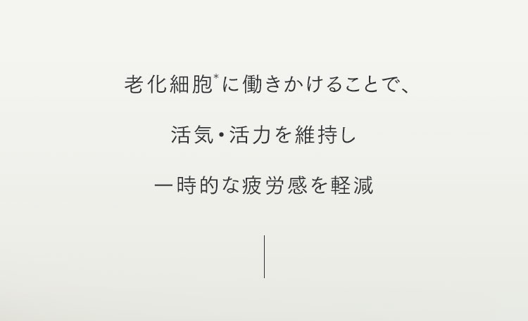  老化細胞＊に働きかけることで、活気・活力を維持し一時的な疲労感を軽減