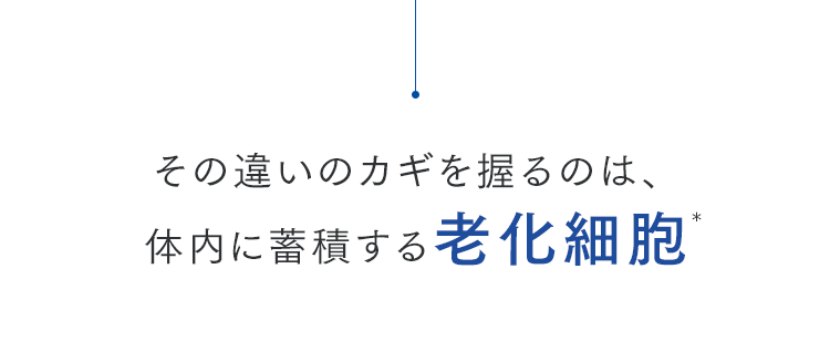 その違いのカギを握るのは、体内に蓄積する老化細胞