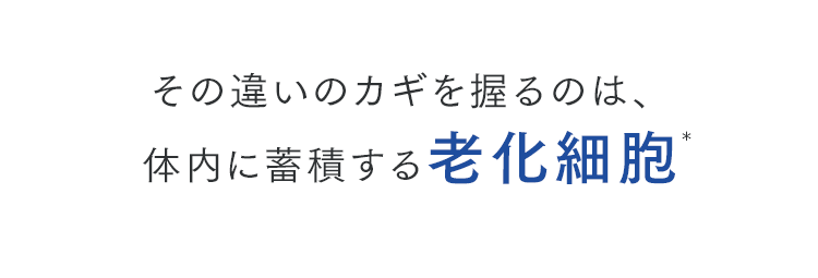 その違いのカギを握るのは、体内に蓄積する老化細胞