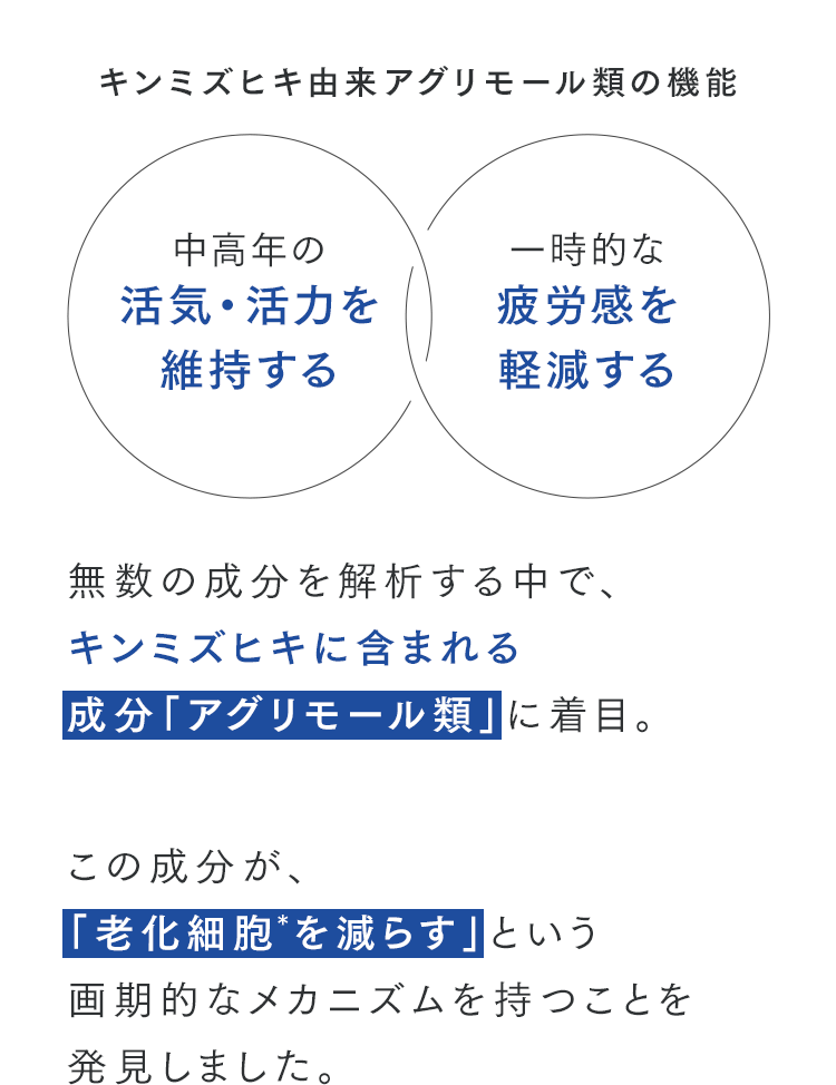 キンミズヒキ由来アグリモール類の機能 中高年の活気・活力を維持する / 一時的な疲労感を軽減する 無数の成分を解析する中で、キンミズヒキに含まれる成分「アグリモール類」に着目。この成分が、「老化細胞を減らす」という画期的なメカニズムを持つことを発見しました。