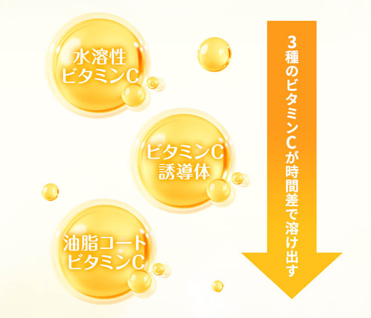 水溶性ビタミンC ビタミンC誘導体 油脂コートビタミンC 3種のビタミンCが時間差で溶け出す