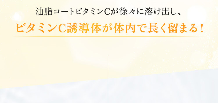 油脂コートビタミンCが徐々に溶け出し、ビタミンC誘導体が体内で長く留まる！