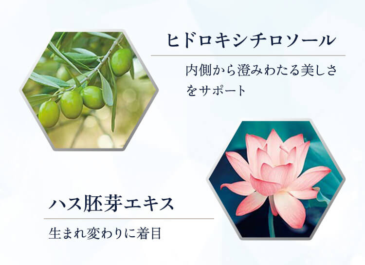 ヒドロキシチロソール 内側から澄みわたる美しさをサポート ハス胚芽エキス 生まれ変わりに着目
