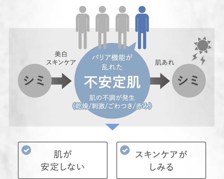 シミ 美白スキンケア バリア機能が乱れた不安定肌 肌の不調が発生(乾燥/刺激/ごわつき/赤み) 肌あれ シミ 肌が安定しない スキンケアがしみる