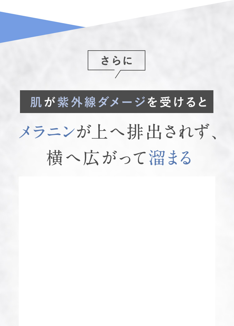 さらに 肌が紫外線ダメージを受けるとメラニンが上へ排出されず、横へ広がって溜まる