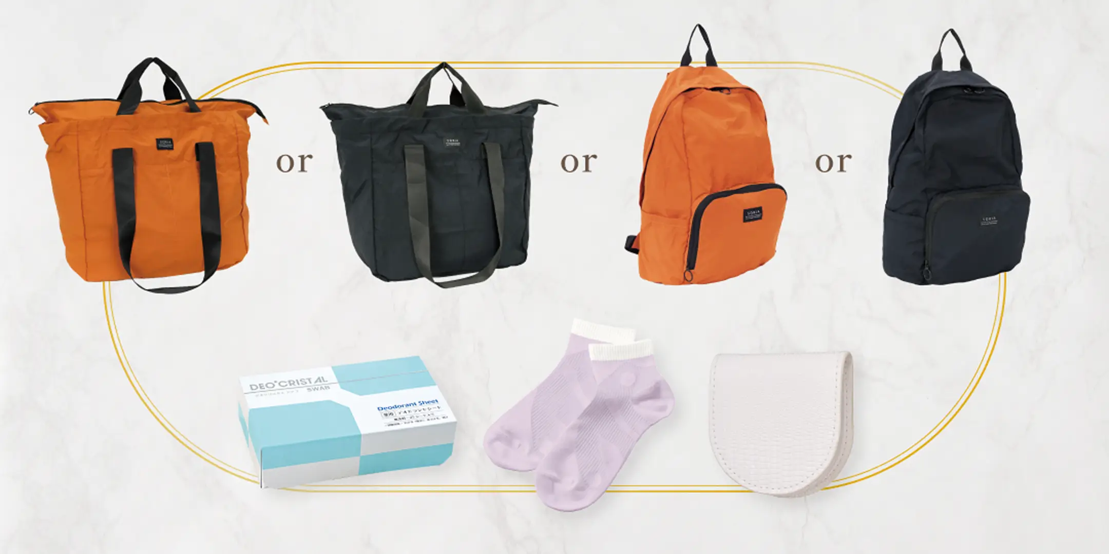 選べるゴールデンウィークお出かけセット