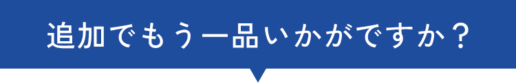 追加でもう一品いかがですか？