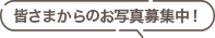 皆さまからのお写真募集！
