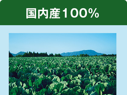 国内産100%