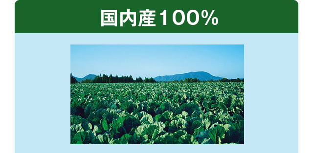国内産100%