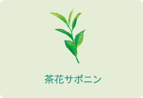 茶花サポニン