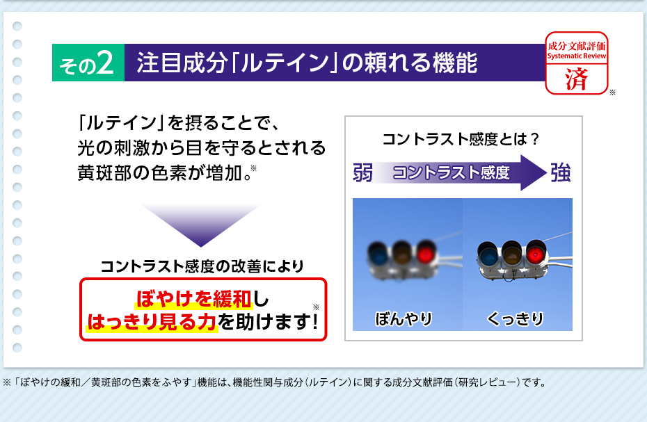 その2 注目成分「ルテイン」の頼れる機能 「ルテイン」を摂ることで、光の刺激から目を守るとされる黄斑部の色素が増加。 コントラスト感度の改善により ぼやけを緩和しはっきり見る力を助けます! ※「ぼやけの緩和/黄斑部の色素をふやす」機能は、機能性関与成分(ルテイン)に関する成分文献評価(研究レビュー)です。