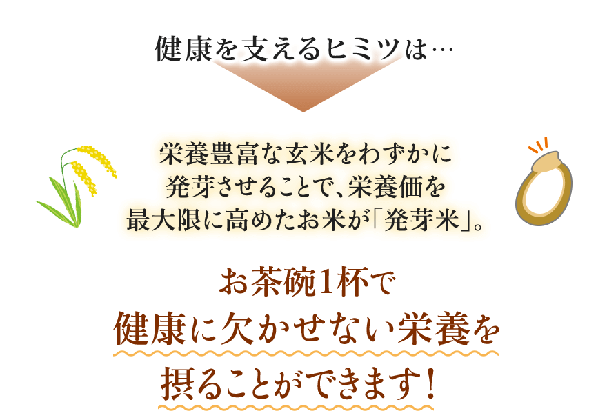 健康を支えるヒミツは… 栄養豊富な玄米をわずかに発芽させることで、栄養価を最大限に高めたお米が「発芽米」。 お茶碗１杯で健康に欠かせない栄養を摂ることができます！