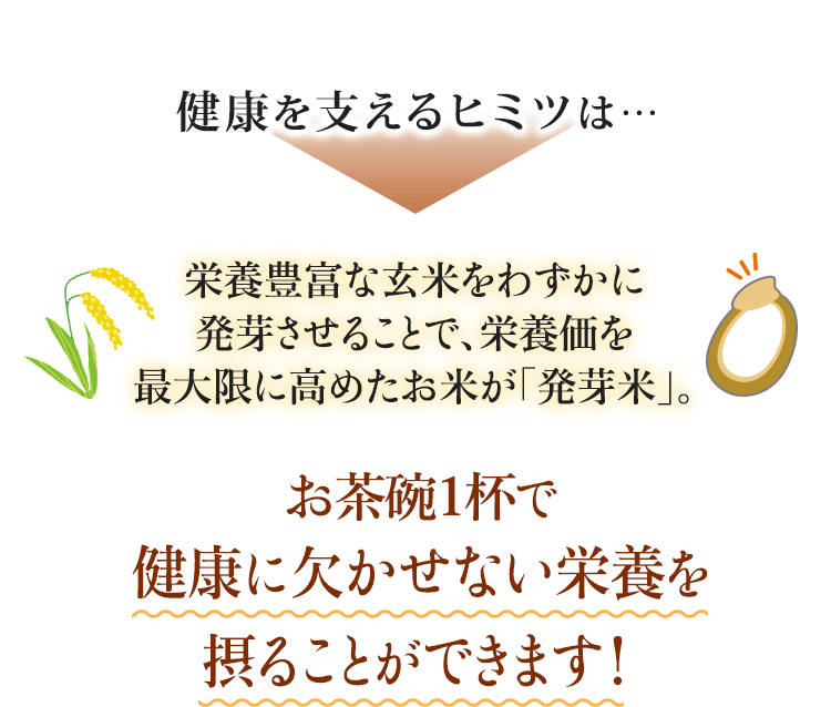 健康を支えるヒミツは… 栄養豊富な玄米をわずかに発芽させることで、栄養価を最大限に高めたお米が「発芽米」。 お茶碗１杯で健康に欠かせない栄養を摂ることができます！