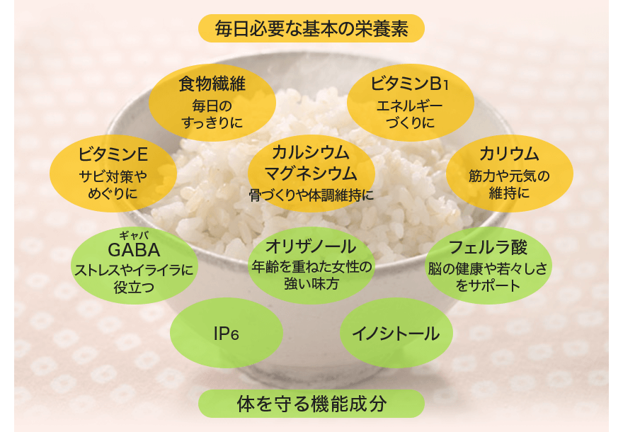 毎日必要な基本の栄養素 食物繊維 毎日のすっきりに ビタミンB1 エネルギーづくりに ビタミンE サビ対策やめぐりに カルシウム マグネシウム 骨づくりや体調維持に カリウム 筋力や元気の維持に GABA（ギャバ） ストレスやイライラに役立つ オリザノール 年齢を重ねた女性の強い味方 フェルラ酸 脳の健康や若々しさをサポート IP6 イノシトール 体を守る機能成分