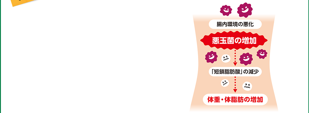 腸内環境の悪化 悪玉菌の増加 「短鎖脂肪酸」の減少 体重・体脂肪の増加