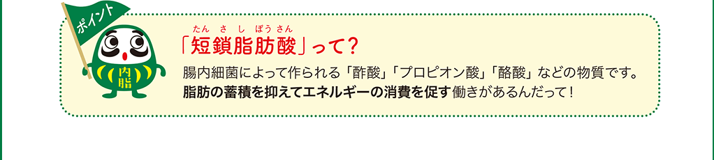 ポイント 「短鎖脂肪酸(たんさしぼうさん)」って? 腸内細菌によって作られる「酢酸」「プロピオン酸」「酪酸」などの物質です。脂肪の蓄積を抑えてエネルギーの消費を促す働きがあるんだって!
