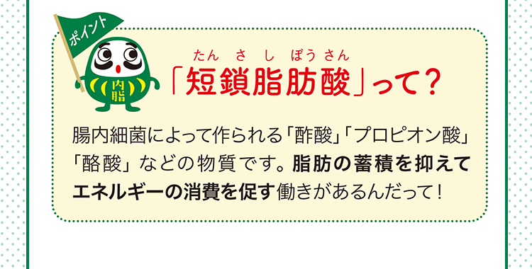 ポイント 「短鎖脂肪酸(たんさしぼうさん)」って? 腸内細菌によって作られる「酢酸」「プロピオン酸」「酪酸」などの物質です。脂肪の蓄積を抑えてエネルギーの消費を促す働きがあるんだって!