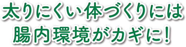 太りにくい体づくりには腸内環境がカギに！