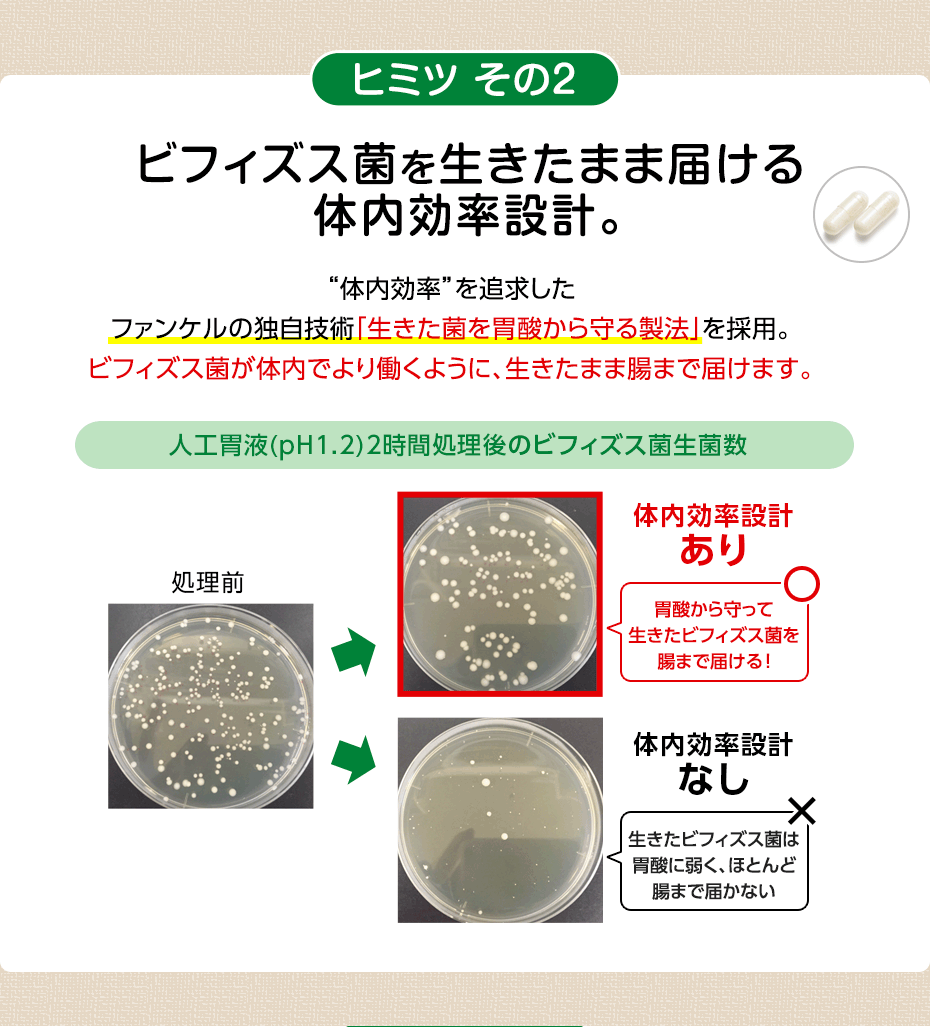 ヒミツ その2 ビフィズス菌を生きたまま届ける体内効率設計。 “体内効率”を追求したファンケルの独自技術「生きた菌を胃酸から守る製法」を採用。ビフィズス菌が生きたまま腸まで届きます。 人工胃液(pH1.2)2時間処理後のビフィズス菌生菌数 処理前 体内効率設計あり 胃酸から守って生きたビフィズス菌を腸まで届ける! 体内効率設計なし 生きたビフィズス菌は胃酸に弱く、ほとんど腸まで届かない