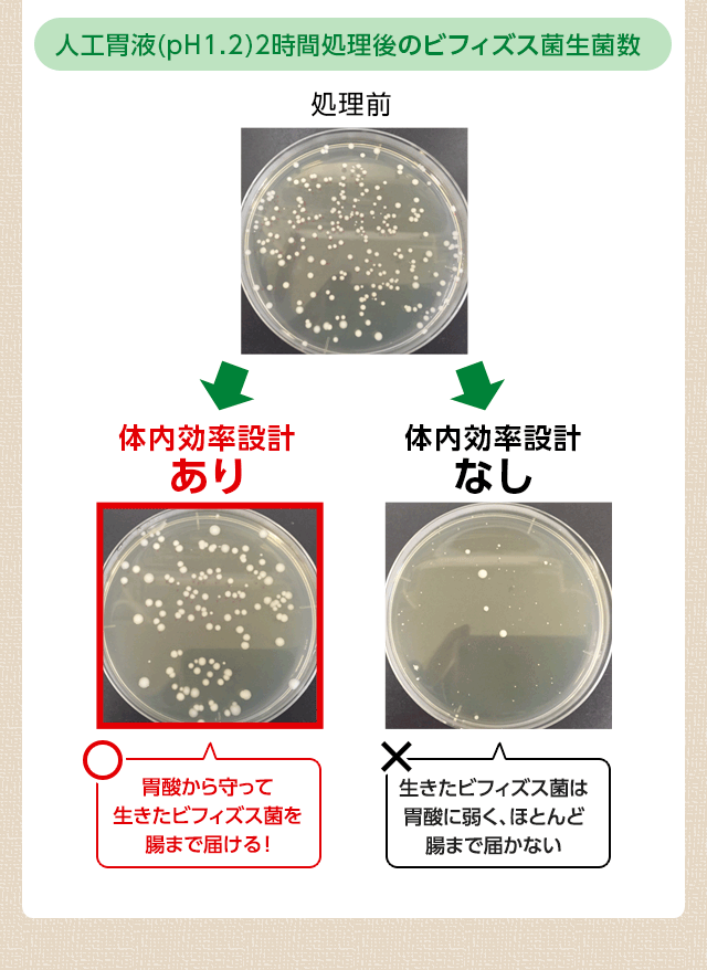 人工胃液(pH1.2)2時間処理後のビフィズス菌生菌数 処理前 体内効率設計あり 胃酸から守って生きたビフィズス菌を腸まで届ける! 体内効率設計なし 生きたビフィズス菌は胃酸に弱く、ほとんど腸まで届かない