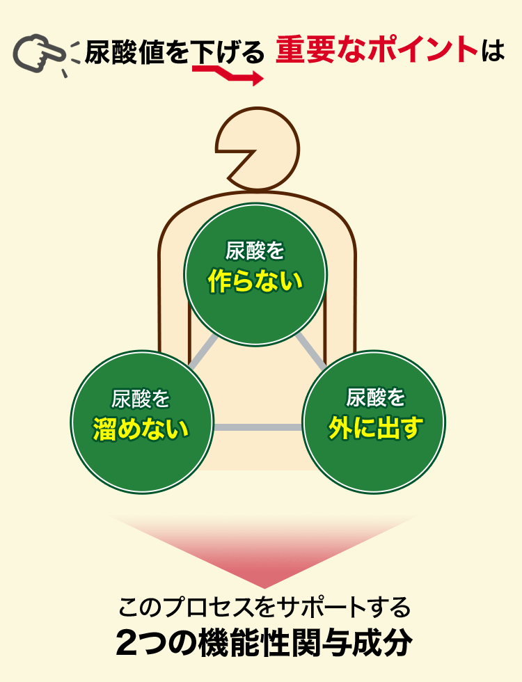 尿酸値を下げる重要なポイントは ・尿酸を溜めない ・尿酸をつくらない ・尿酸を外に出す このプロセスをサポートする2つの機能性関与成分