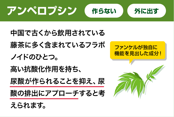 アンペロプシン　中国で古くから飲用されている藤茶に多く含まれているフラボノイドのひとつ。高い抗酸化作用を持ち、尿酸が作られることを抑え、尿酸の排出にアプローチすると考えられます。