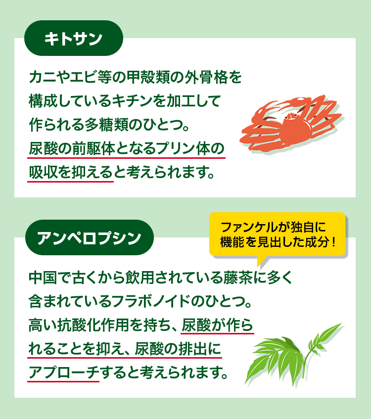 キトサン カニやエビ等の甲殻類の外骨格を構成しているキチンを加工して作られる多糖類のひとつ。尿酸の前駆体となるプリン体の吸収を抑えると考えられます。 アンペロプシン 中国で古くから飲用されている藤茶に多く含まれているフラボノイドのひとつ。高い抗酸化作用を持ち、尿酸が作られることを抑え、尿酸の排出にアプローチすると考えられます。