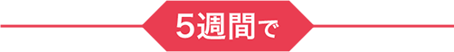 ---5週間で---