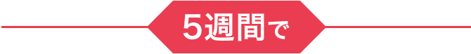 ---5週間で---