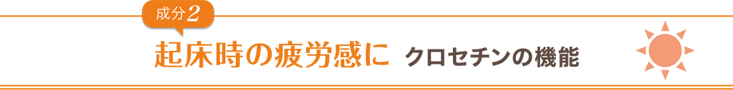 成分2起床時の疲労感にクロセチンの機能