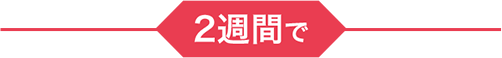 ---2週間で---