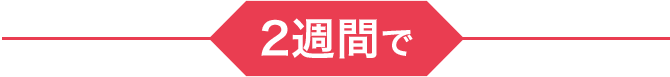 ---2週間で---