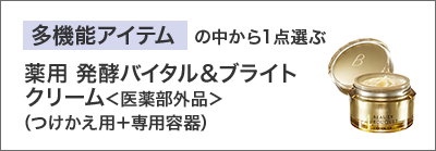 多機能アイテムの中から1点選ぶ