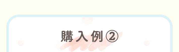 購入例②
