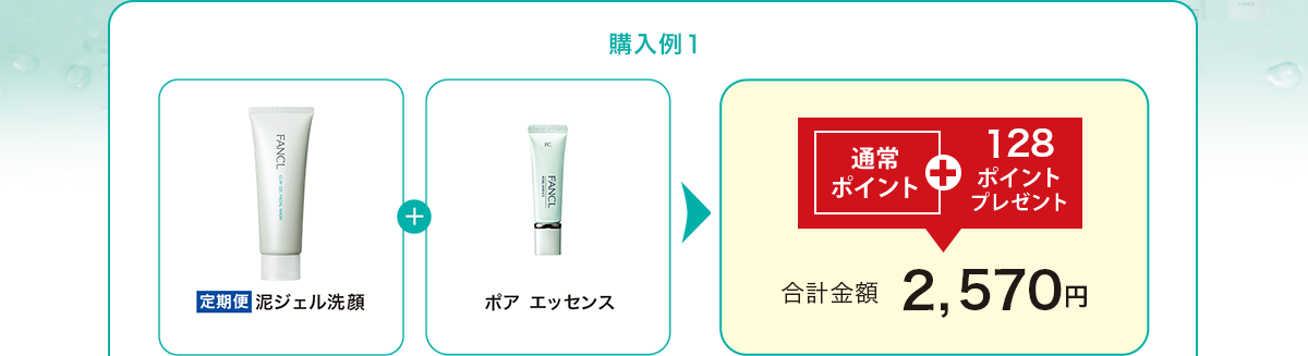 購入例１