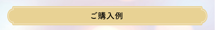 ご購入例