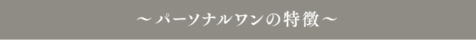 ～パーソナルワンの特徴～