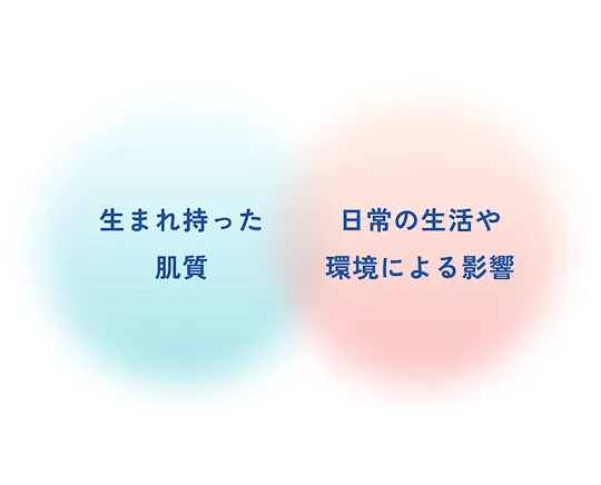 あなたの肌奥では、今日も新しい細胞が生まれています