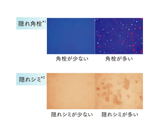 ビジュアル解析（2/2）
