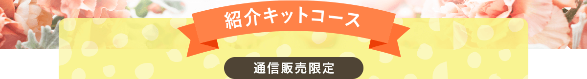 紹介キットコース 通信販売限定