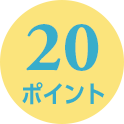 20ポイント