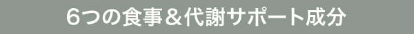 6つの食事＆代謝サポート成分