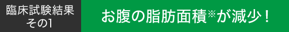 臨床試験結果その1 お腹の脂肪面積※が減少！