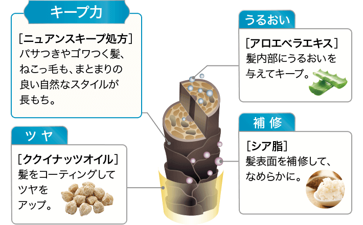 キープ力［ニュアンスキープ処方］パサつきやゴワつく髪、ねこっ毛も、まとまりの良い自然なスタイルが長もち。 うるおい［アロエベラエキス］髪内部にうるおいを与えてキープ。 ツヤ［ククイナッツオイル］髪をコーティングしてツヤをアップ。 補修［シア脂］髪表面を補修して、なめらかに。