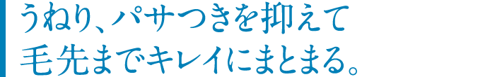 うねり、パサつきを抑えて毛先までキレイにまとまる。