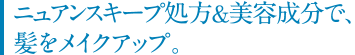 ニュアンスキープ処方&美容成分で、髪をメイクアップ。