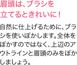 眉頭は、ブラシを立てるときれいに！ 自然に仕上げるために、ブラシを使いぼかします。全体をぼかすのではなく、上辺のアウトラインと眉頭のみをぼかしましょう。