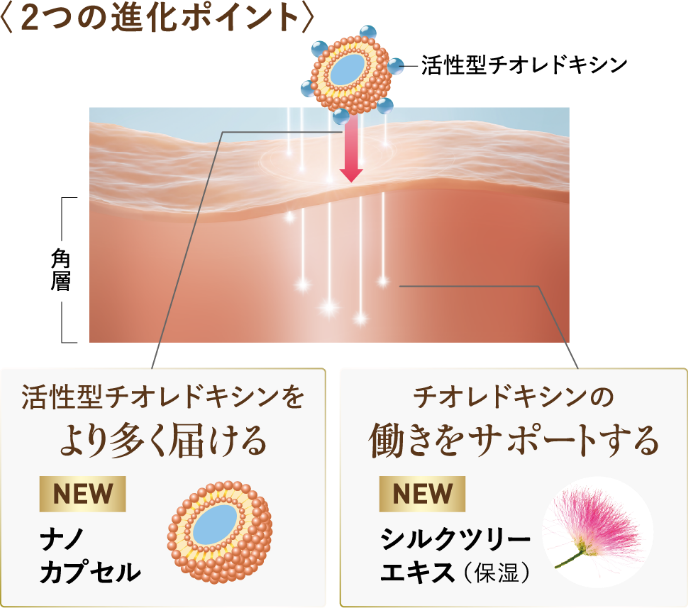 2つの進化ポイント